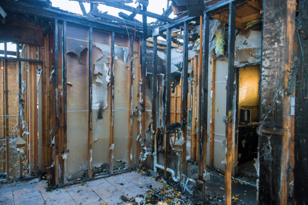Professional Smoke Damage Removal technician working in Drexel Hill, PA